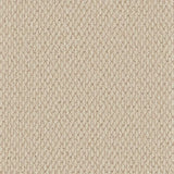 Cormar Primo Textures Carpet Exen Flooring