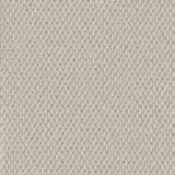 Cormar Primo Textures Carpet Exen Flooring