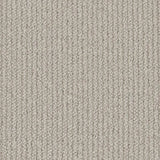 Cormar Primo Textures Carpet Exen Flooring