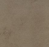 Forbo Allura Click Pro LVT Exen Flooring