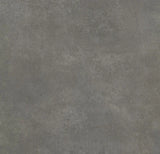 Forbo Allura Dryback Material 2.2mm LVT Exen Flooring