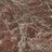 Forbo Allura Dryback Material 2.2mm LVT Exen Flooring