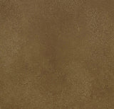 Forbo Allura Dryback Material 2.2mm LVT Exen Flooring
