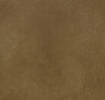 Forbo Allura Dryback Material 2.2mm LVT Exen Flooring