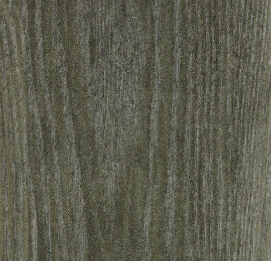 Forbo Allura Dryback Material 2.5mm LVT Exen Flooring