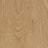 Forbo Allura Dryback 2mm LVT Exen Flooring