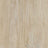 Forbo Allura Dryback 2mm LVT Exen Flooring