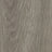 Forbo Allura Dryback 2mm LVT Exen Flooring