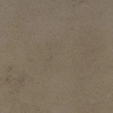 Forbo Allura Dryback 2mm LVT Exen Flooring