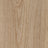 Forbo Allura Dryback 2mm LVT Exen Flooring