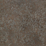 Forbo Allura Dryback 2mm LVT Exen Flooring