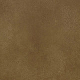 Forbo Allura Dryback 2mm LVT Exen Flooring