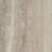 Forbo Allura Dryback Wood 2.5mm LVT Exen Flooring