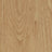 Forbo Allura Dryback Wood 2.5mm LVT Exen Flooring