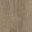 Forbo Allura Dryback Wood 2.5mm LVT Exen Flooring