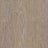 Forbo Allura Dryback Wood 2.5mm LVT Exen Flooring