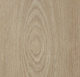 Forbo Allura Dryback Wood 2.5mm LVT Exen Flooring
