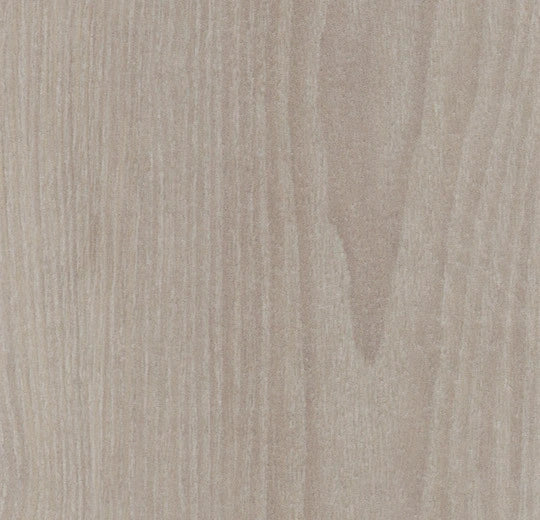 Forbo Allura Dryback Wood 2.5mm LVT Exen Flooring