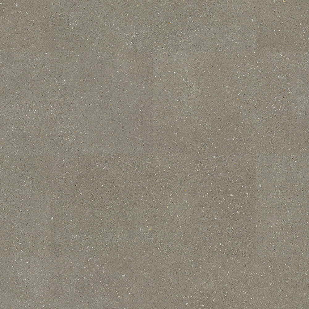 Polyflor Camaro Rigid Core LVT Oak Exen Flooring