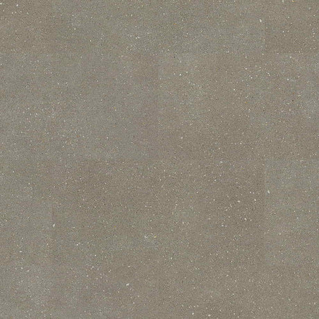 Polyflor Camaro Rigid Core LVT Oak Exen Flooring